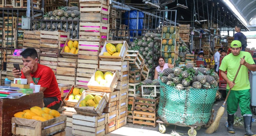 mercado modelo frutas